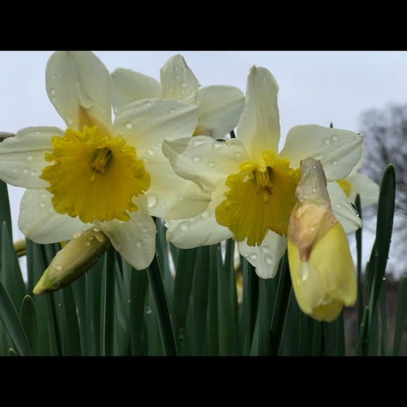 Meet your Posher, Melanie - Picture 3 of 8